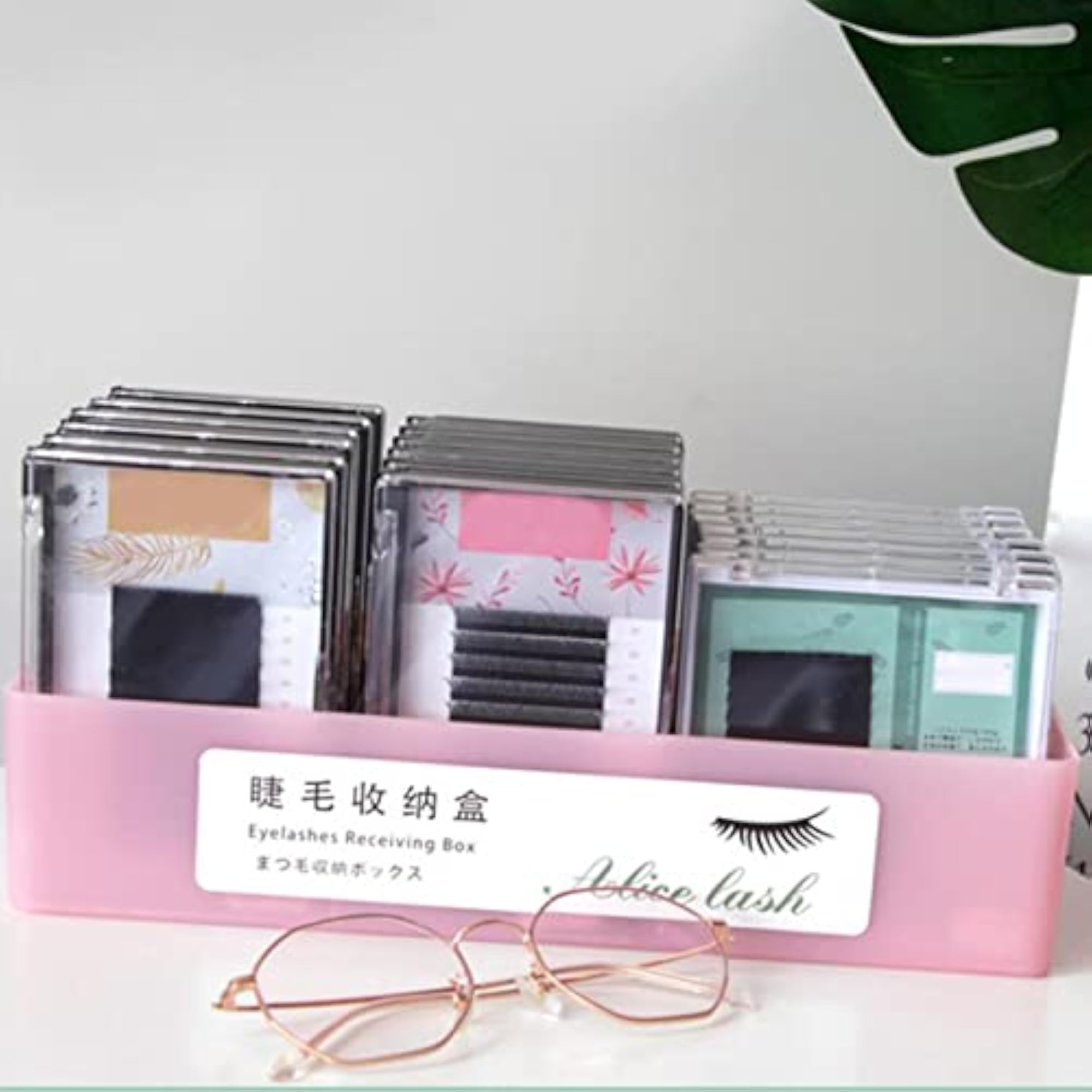 Transparent Eyelash Extension Tool Storage Box Organizer